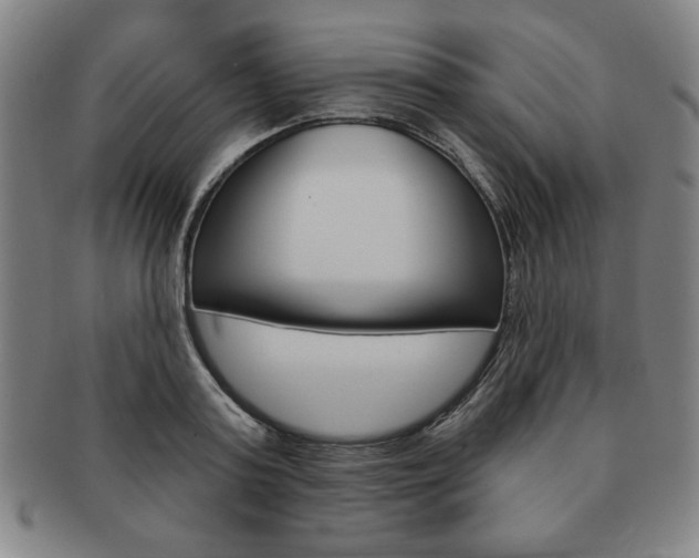 X0000091640795200708230947