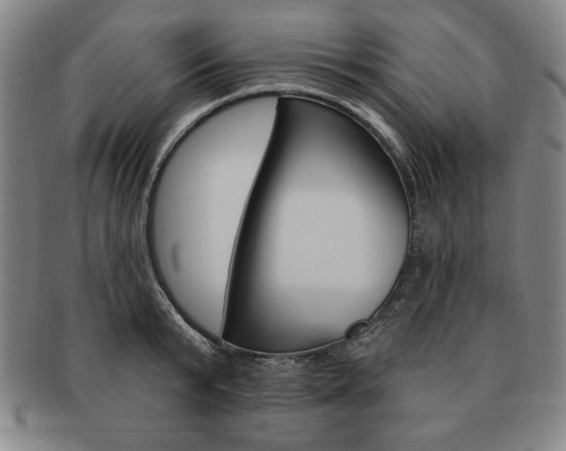X0000091640799200708230947