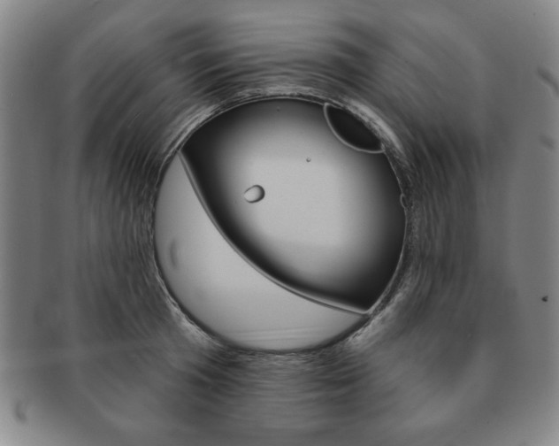 X0000091640801200708230947
