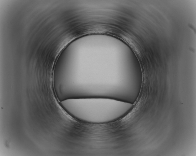X0000091640802200708230947