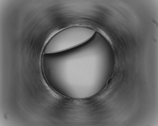 X0000091640803200708230947