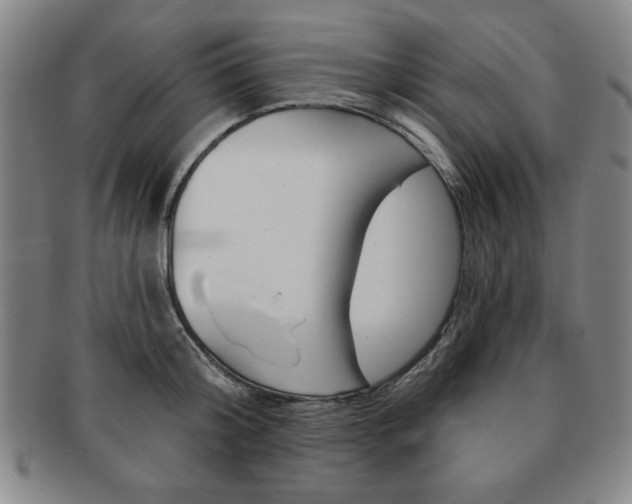 X0000091640804200708230947
