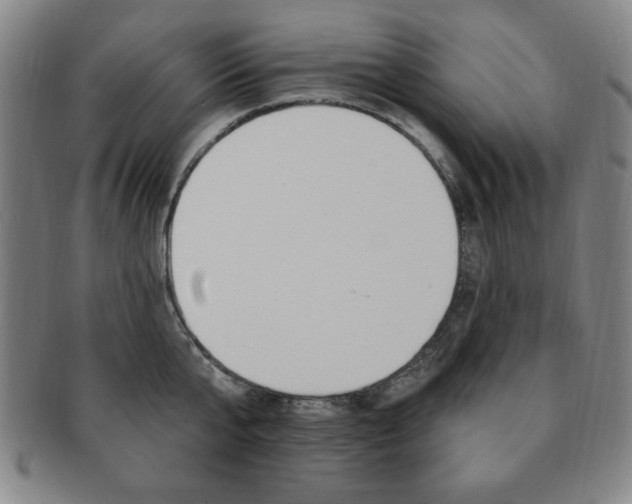 X0000091640807200708230947