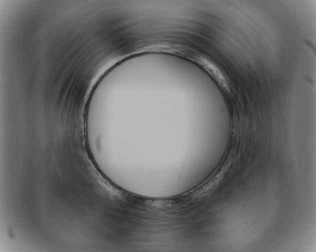 X0000091640808200708230947