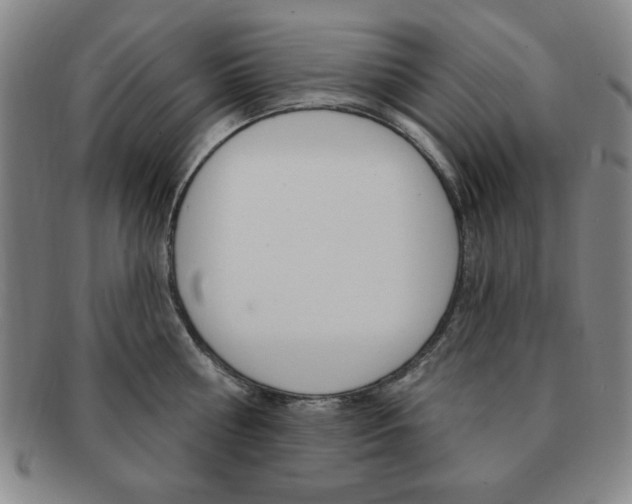 X0000091640810200708230947