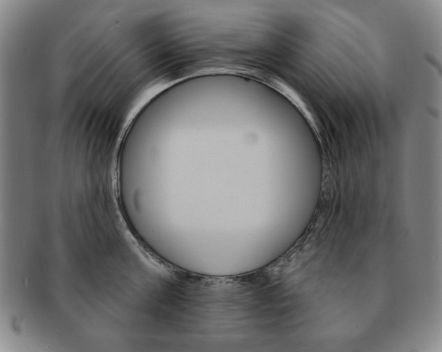 X0000091640811200708230947