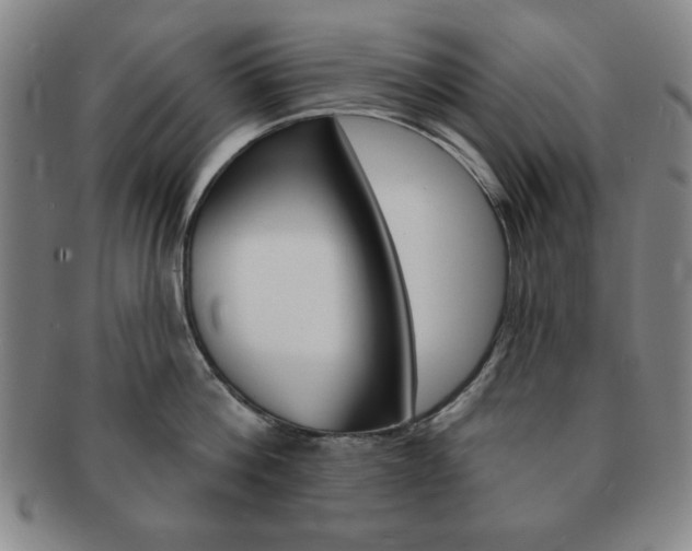 X0000091640812200708230947