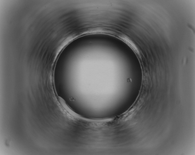X0000091640813200708230947