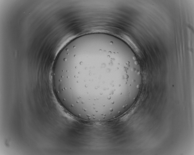 X0000091640814200708230947