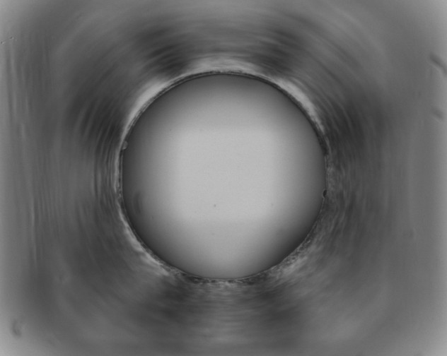 X0000091640815200708230947