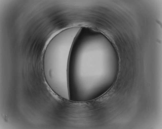 X0000091640816200708230947