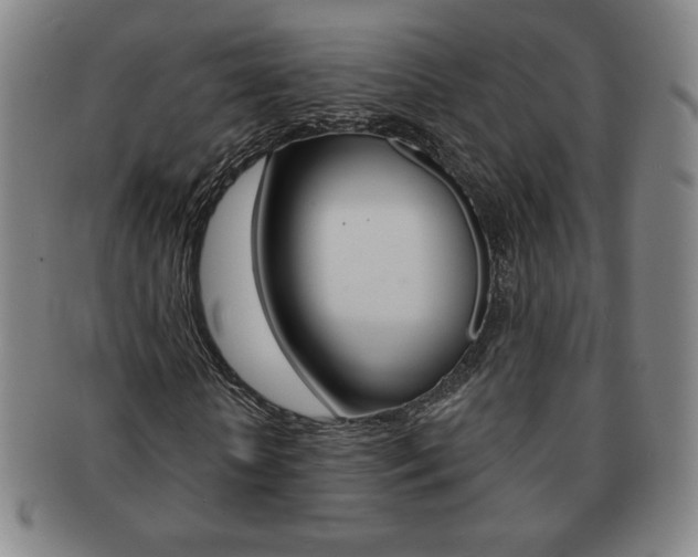 X0000091640818200708230946