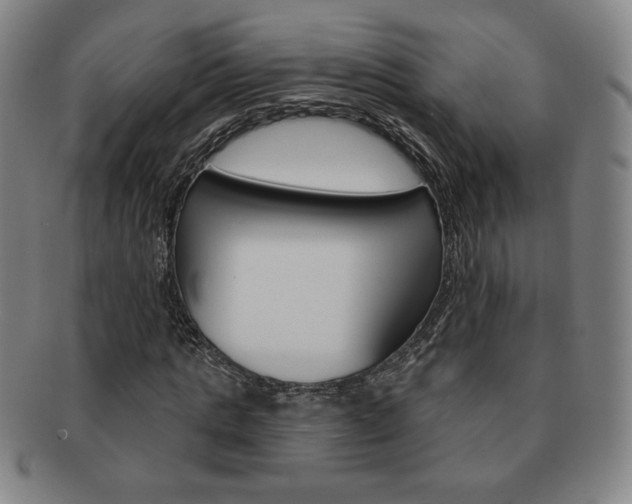 X0000091640821200708230946