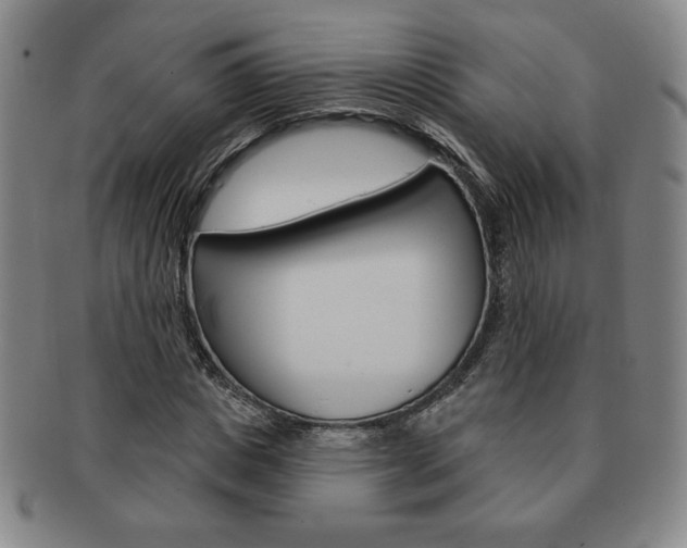 X0000091640825200708230946