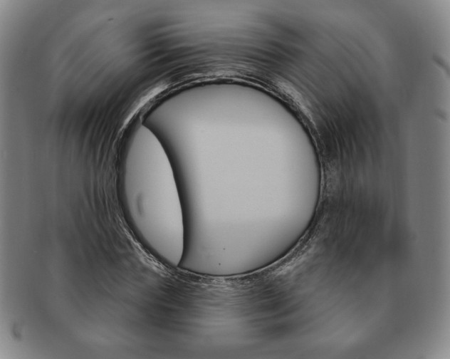 X0000091640827200708230946