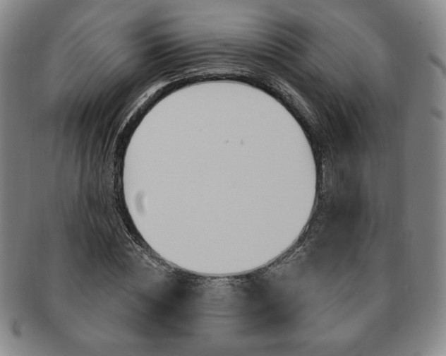 X0000091640828200708230946