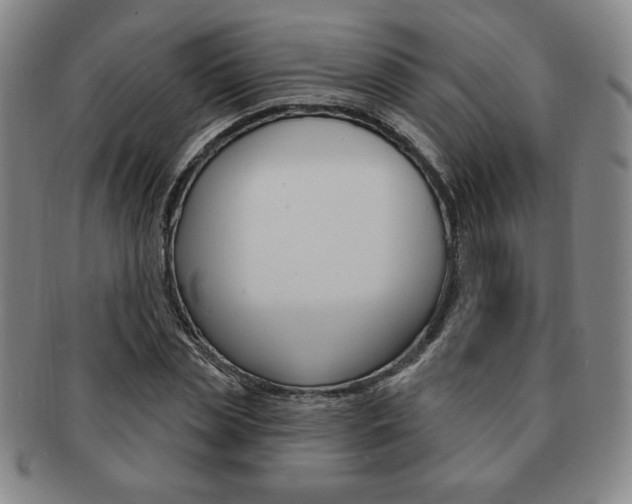 X0000091640829200708230946