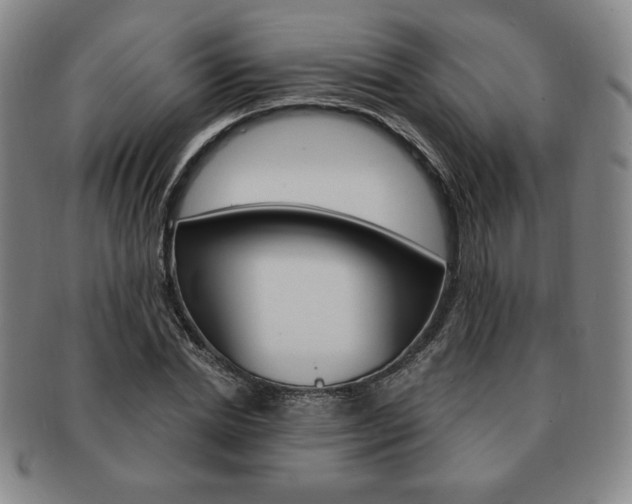 X0000091640830200708230946