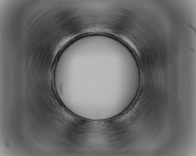 X0000091640831200708230946
