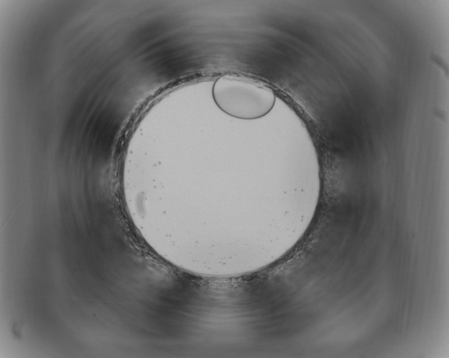 X0000091640832200708230946