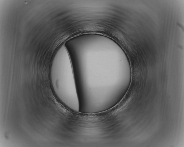 X0000091640833200708230946