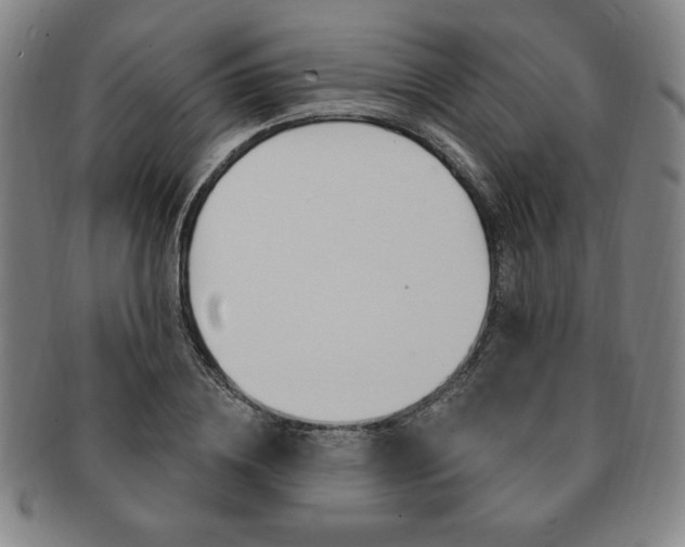 X0000091640836200708230946