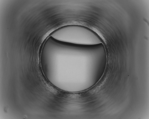 X0000091640837200708230946