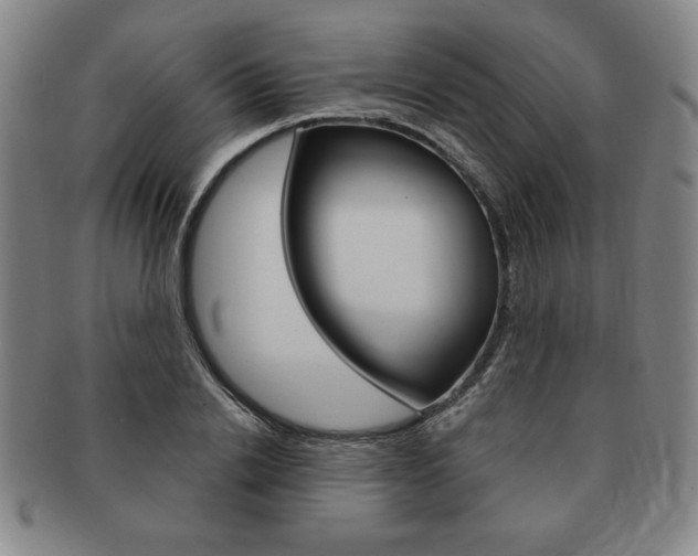 X0000091640838200708230947