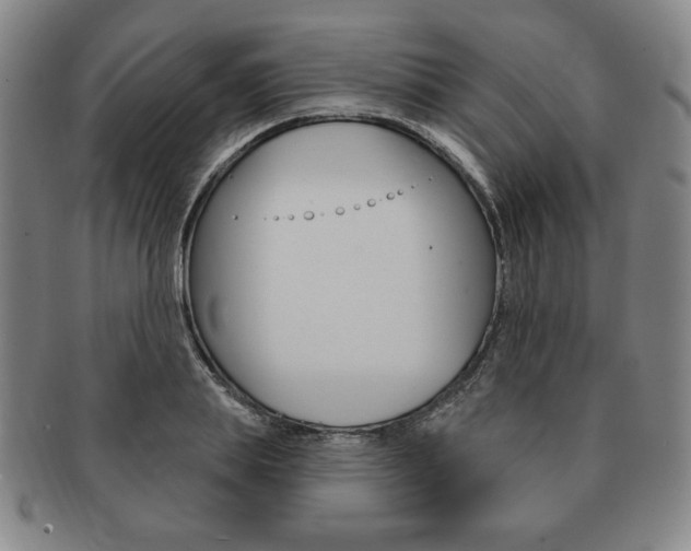 X0000091640839200708230947