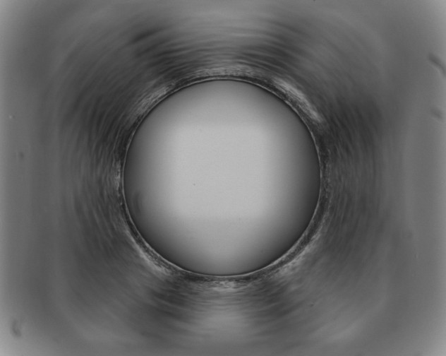 X0000091640841200708230947