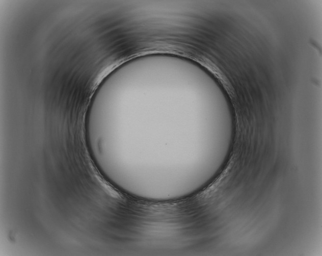 X0000091640842200708230947