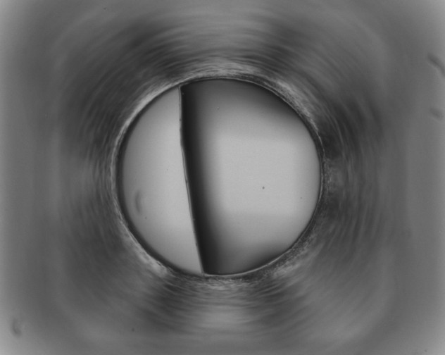 X0000091640843200708230947