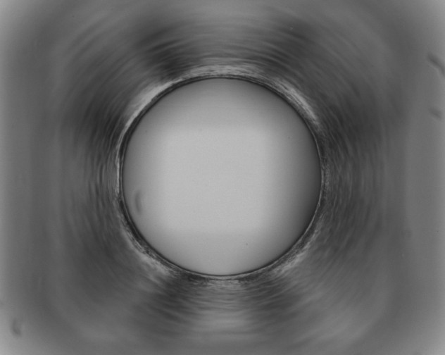 X0000091640844200708230947