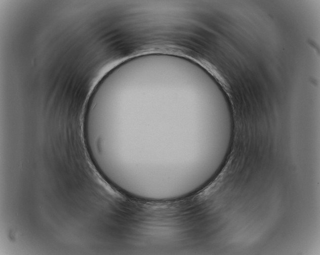 X0000091640846200708230947