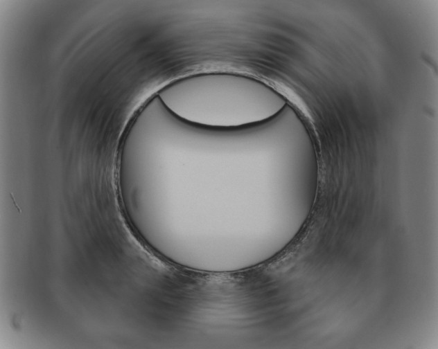 X0000091640847200708230947