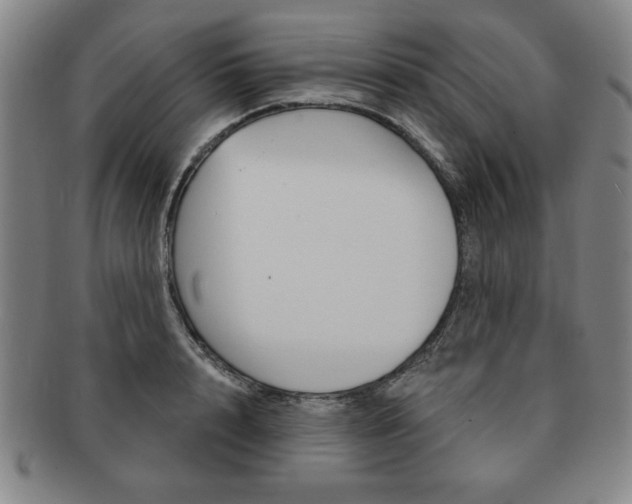 X0000091640848200708230947