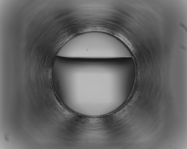 X0000091640849200708230947