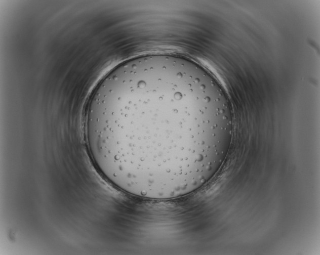 X0000091640851200708230947