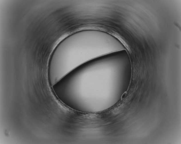 X0000091640853200708230947