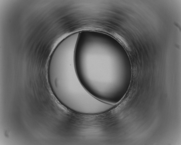 X0000091640854200708230947