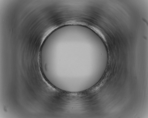 X0000091640855200708230947