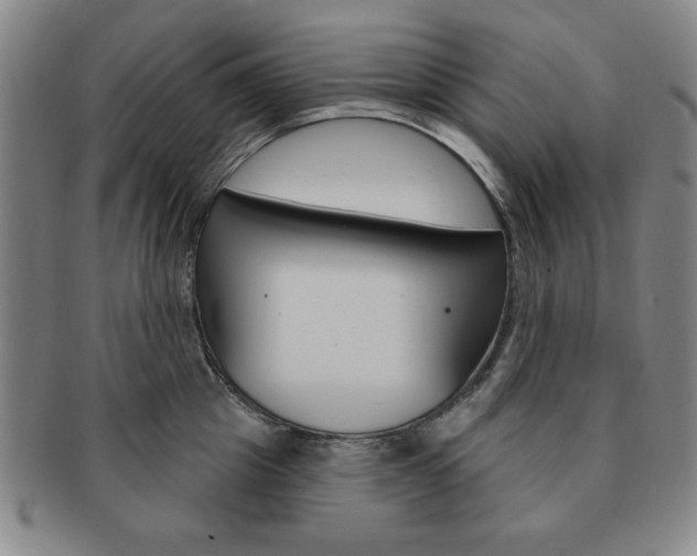 X0000091640857200708230947