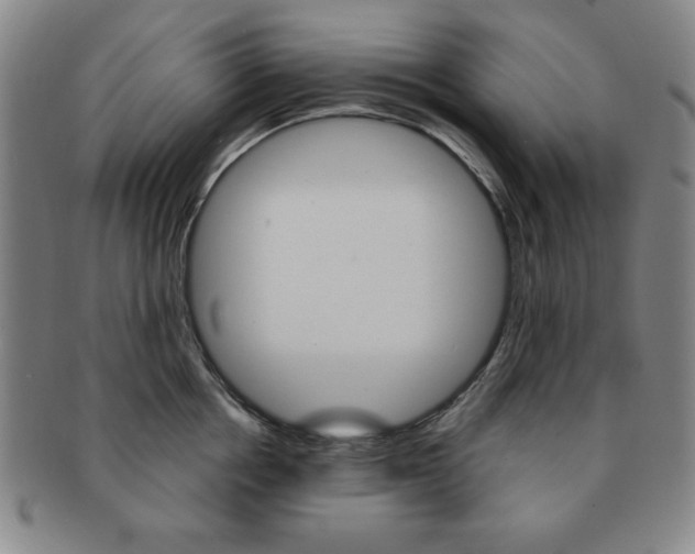 X0000091640858200708230947
