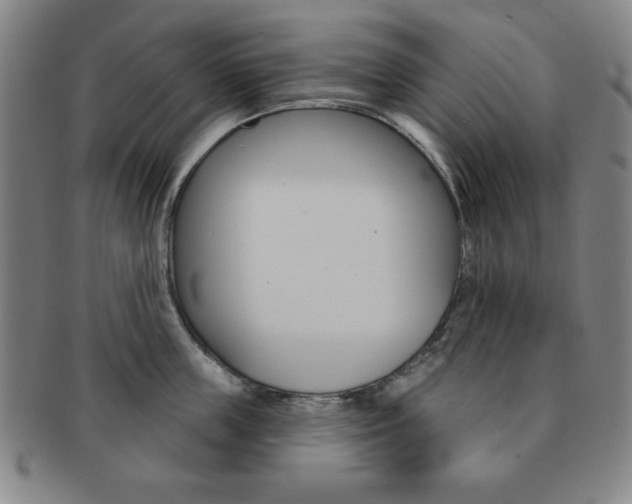 X0000091640859200708230947