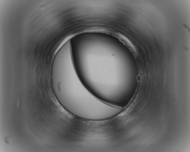 X0000091640860200708230947