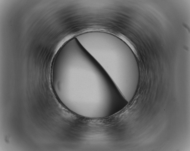 X0000091640861200708230947