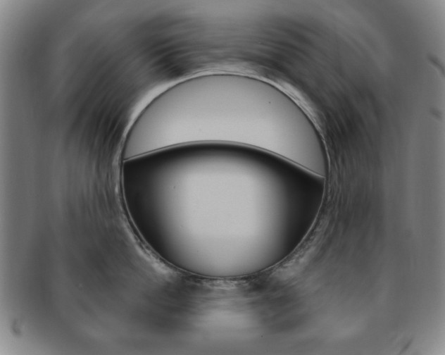 X0000091640862200708230947