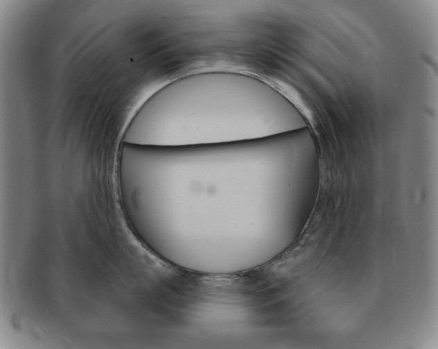 X0000091640863200708230947