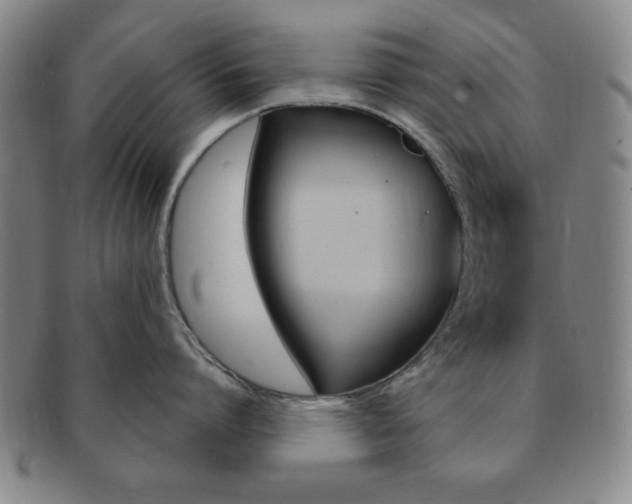 X0000091640864200708230947