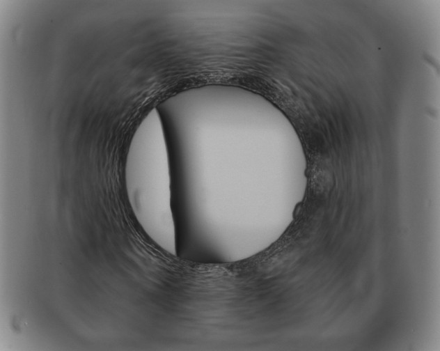 X0000091640866200708230946